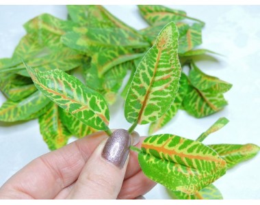 Листик кротона 3 шт, цв. трехцветный - 1 шт.