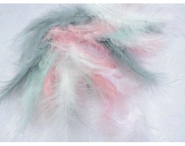 Перья 10-17 см, цв. микс 100 шт - 1 уп.