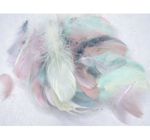 Перья  6-12 см цв. пастель 100 шт - 1 уп.