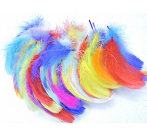 Перья  6-12 см цв. яркий микс 100 шт - 1 уп.