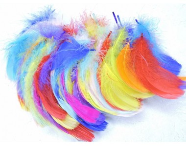 Перья  6-12 см цв. яркий микс 100 шт - 1 уп.