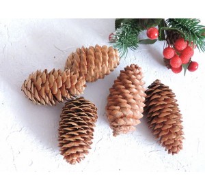 Шишки еловые 5-8 см - 1 шт.