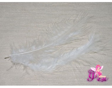 Перо декоративное 13,5см, цв. белый - 1шт
