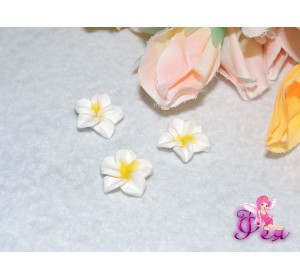 Кабошоны "гавайские цветы" 15мм