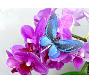 Бабочка фетровая двойная №28 - 1 ком.