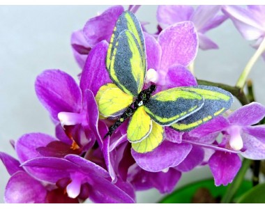 Бабочка фетровая двойная №29 - 1 ком.