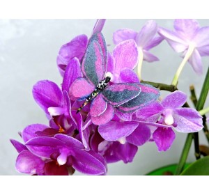 Бабочка фетровая двойная №30 - 1 ком.