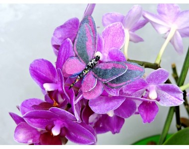 Бабочка фетровая двойная №30 - 1 ком.