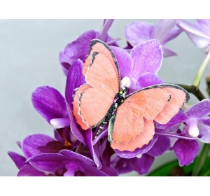 Бабочка фетровая двойная №22 - 1 ком.