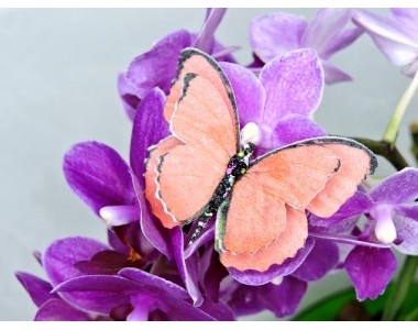 Бабочка фетровая двойная №22 - 1 ком.