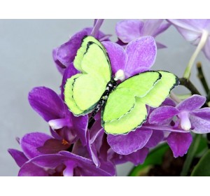 Бабочка фетровая двойная №21 - 1 ком.