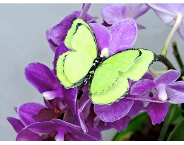 Бабочка фетровая двойная №21 - 1 ком.