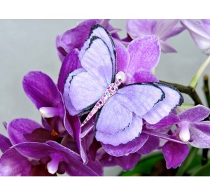 Бабочка фетровая двойная №20 - 1 ком.