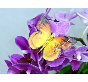 Бабочка фетровая двойная №10 - 1 ком.