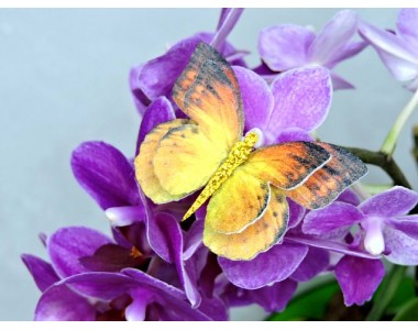 Бабочка фетровая двойная №10 - 1 ком.