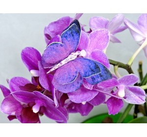 Бабочка фетровая двойная №9 - 1 ком.