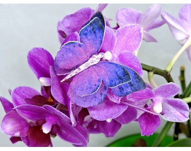 Бабочка фетровая двойная №9 - 1 ком.