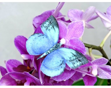 Бабочка фетровая двойная №8 - 1 ком.