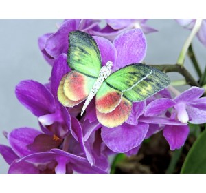 Бабочка фетровая двойная №15 - 1 ком.