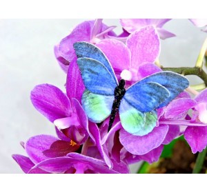 Бабочка фетровая двойная №14 - 1 ком.