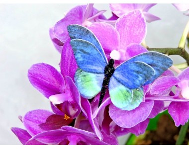 Бабочка фетровая двойная №14 - 1 ком.