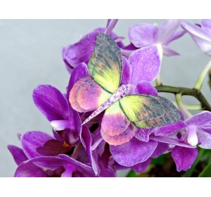 Бабочка фетровая двойная №13 - 1 ком.