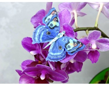 Бабочка фетровая двойная №18 - 1 ком.