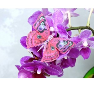 Бабочка фетровая двойная №19 - 1 ком.