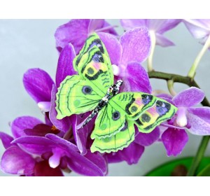 Бабочка фетровая двойная №17 - 1 ком.