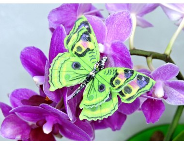 Бабочка фетровая двойная №17 - 1 ком.