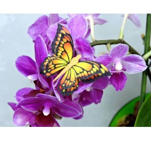 Бабочка фетровая двойная №24 - 1 ком.