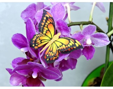 Бабочка фетровая двойная №24 - 1 ком.