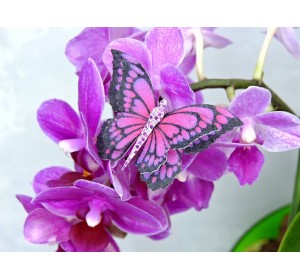 Бабочка фетровая двойная №25 - 1 ком.