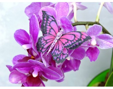 Бабочка фетровая двойная №25 - 1 ком.