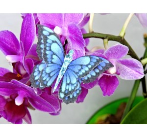 Бабочка фетровая двойная №23 - 1 ком.