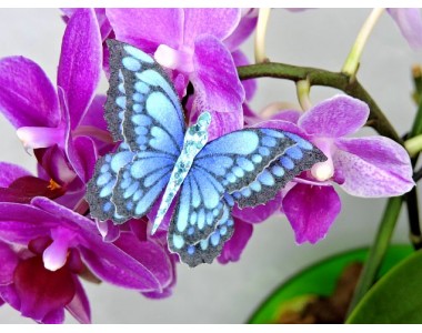 Бабочка фетровая двойная №23 - 1 ком.