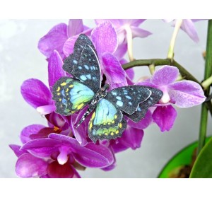 Бабочка фетровая двойная №7 - 1 ком.