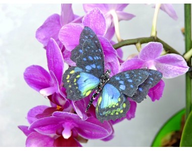 Бабочка фетровая двойная №5 - 1 ком.