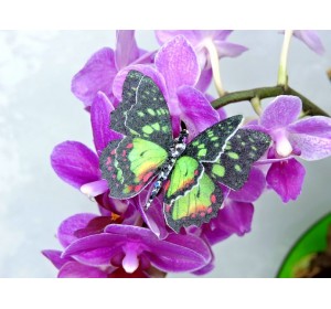 Бабочка фетровая двойная №6 - 1 ком.