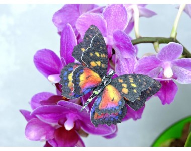 Бабочка фетровая двойная №4 - 1 ком.