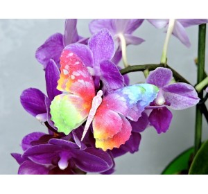 Бабочка фетровая двойная №1 - 1 ком.