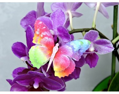 Бабочка фетровая двойная №1 - 1 ком.