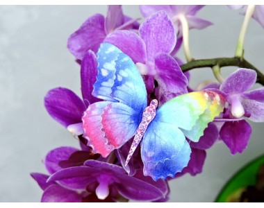 Бабочка фетровая двойная №2 - 1 ком.