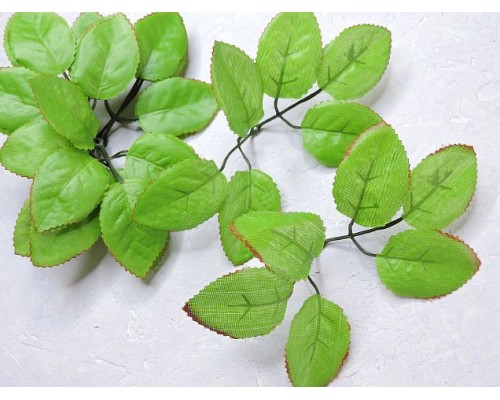 Листик розы 6шт на веточке, цв зеленый с  каймой - 1веточка.