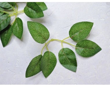 Листик розы 6шт на веточке с прожилками, цв. темно-зеленый - 1веточка.